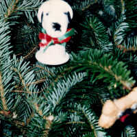 East Martello tree ornament