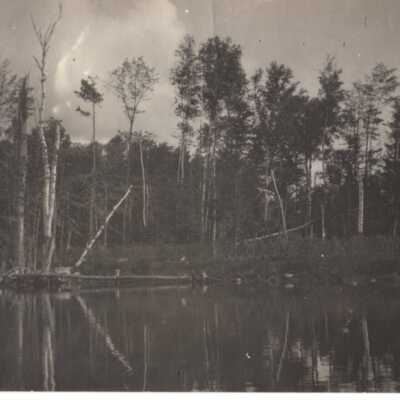 Unknown lake and trees