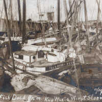 Hurricane Damaged Sponging Fleet