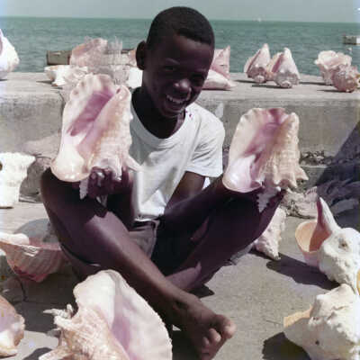 Young Man with Conch Shells