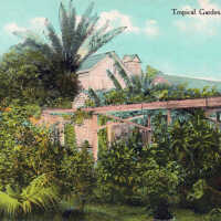 Tropical Garden, Key West
