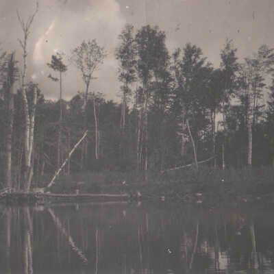 Unknown lake and trees: Copyright: © Key West Art & Historical Society; Origformat: Print-Photographic