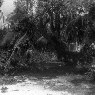 South Florida Hurricane Damage