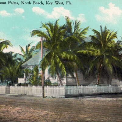Cottage with Cocoanut Palms, North Beach, Key West, Fla.