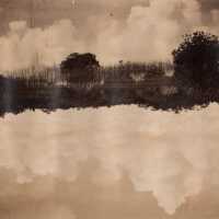          Mangroves; Copyright: © Key West Art & Historical Society; Origformat: Print-Photographic
   