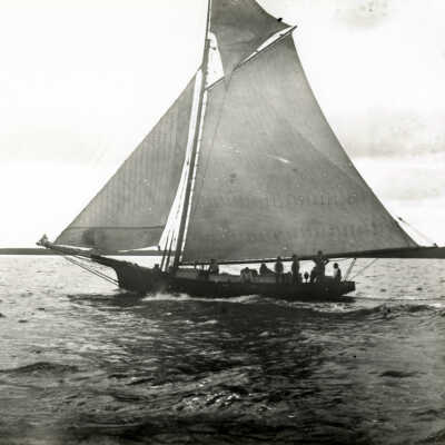 Sloop Moccasin