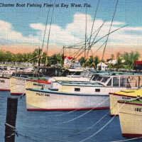 Modern Charter Boat Fishing Fleet at Key West, Fla.