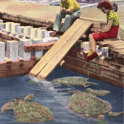 Turtle Kraals, Key West