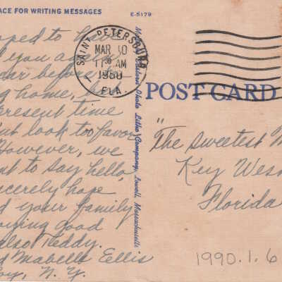 Oranges and Blossoms in Sunny Florida