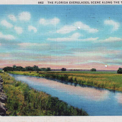 The Florida Everglades, Scene Along the Tamiami Trail