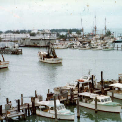 View of Key West Harbor Taken from Turtle Kraals Tower