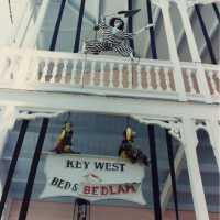 A hotel decorated for Fantasy Fest.