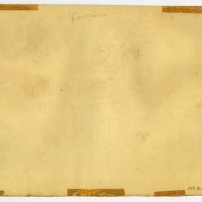 Poinciana (Pre-Conservation): © Key West Art & Historical Society