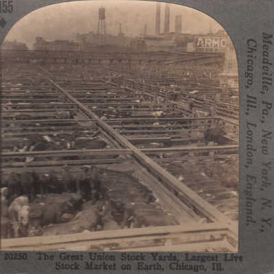 Stereoview of Union Stock Yards, Chicago, Illinois