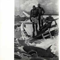 If a Shark is Seen, There is No Getting a Diver Over the Side That Day