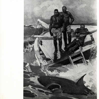 If a Shark is Seen, There is No Getting a Diver Over the Side That Day