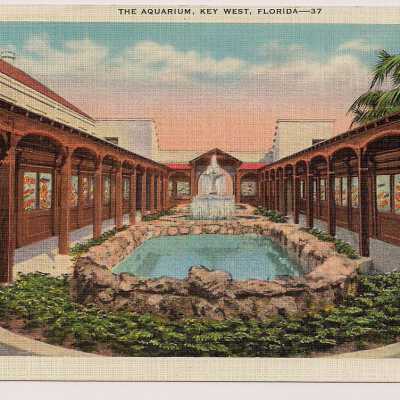 The Aquarium, Key West, Florida