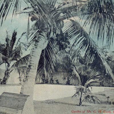 Garden of Mr. G. H. Curry, Key West, Fla.