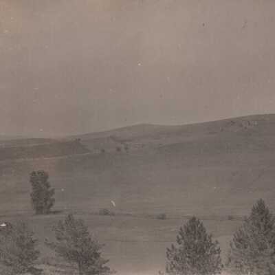 Unknown hills and trees: Copyright: © Key West Art & Historical Society; Origformat: Print-Photographic