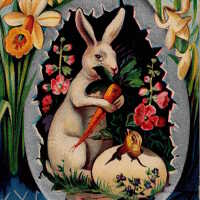 Easter Greetings