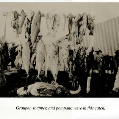 Grouper, Snapper, and Pompano were in this Catch