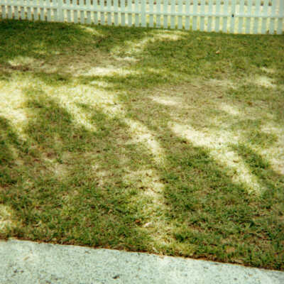 Key West Lighthouse grounds