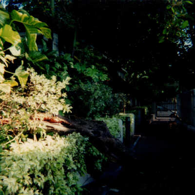 Key West Lighthouse grounds