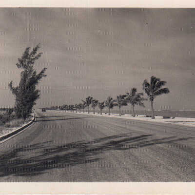 North Roosevelt Boulevard