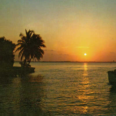 Florida Sunset