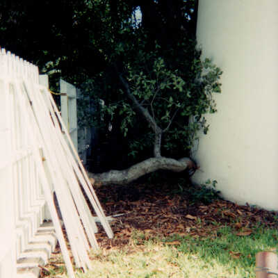 Key West Lighthouse grounds