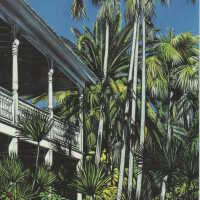 Key Palms