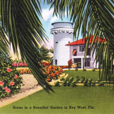 Scene in a Beautiful Garden in Key West, Fla.