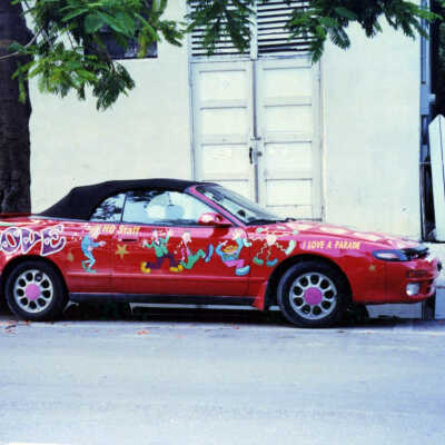 Painted Vehicle