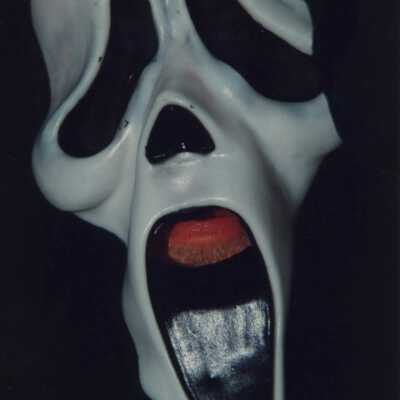 Unknown person dressed up as the scream character for twilight fantasy parade.