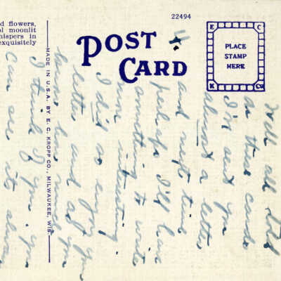 Growing Bananas in Florida