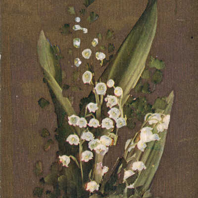 A spray of flowers