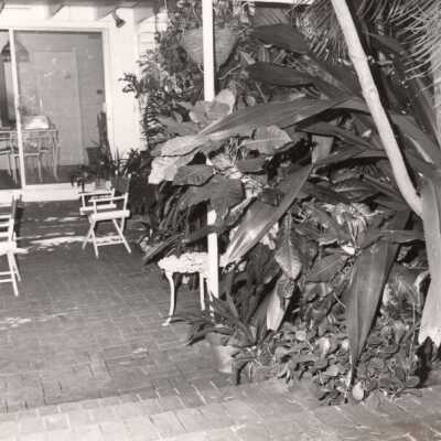 Tennessee Williams' house: Copyright: © Key West Art & Historical Society; Origformat: Print-Photographic