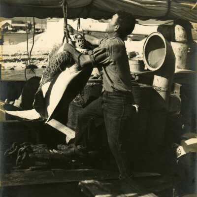 Unloading Turtles in Key West