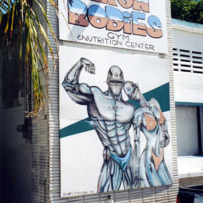 Iron Bodies Gym Sign