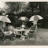 An unknown group of people sitting at a table