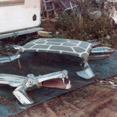 The Alligator and The Turtle