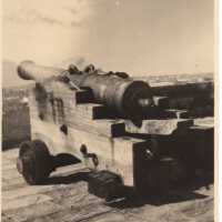 Cannon