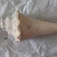 Shell Tool