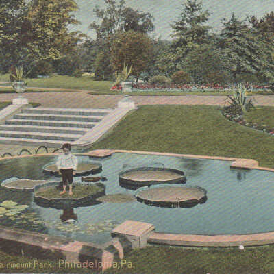 Water Lilies, Fairmount Park, Philadelphia