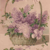 Basket of flowers