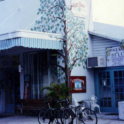 Sugar Apple Building