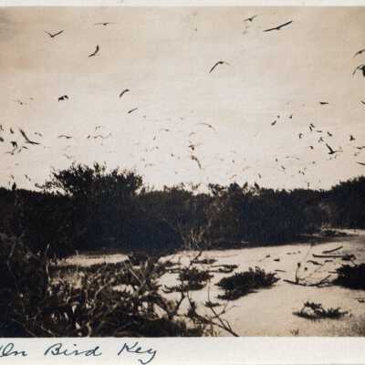 Bird Key, Dry Tortugas: Copyright: © Key West Art & Historical Society; Origformat: Print-Photographic
