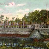 Palmaceia Springs, Tampa, Florida