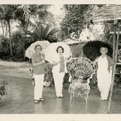 3 Unknown woman holding umbrellas while they stand in the rain