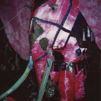 A float in the parade.